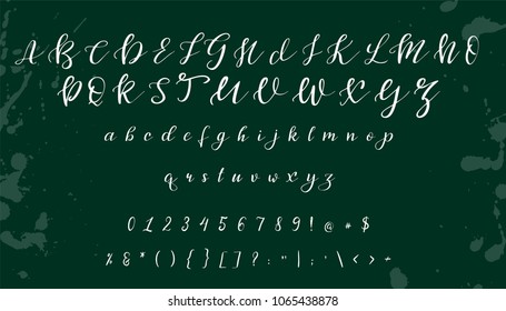 Handwritten calligraphy font. Vector alphabet. Hand drawn letters objects