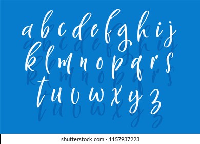 Handwritten calligraphy font. Vector alphabet. Hand drawn letters objects
