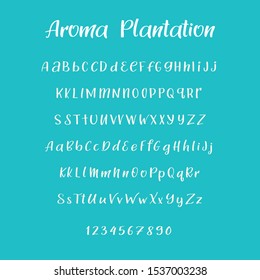 Handwritten calligraphy font. Vector alphabet. Hand drawn letters objects