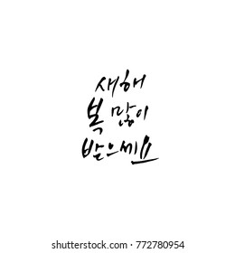 Handwritten calligraphy / New Year's Day greeting / Happy New Year - vector