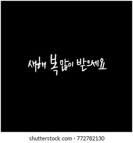 Handwritten calligraphy / New Year's Day greeting / Happy New Year - vector