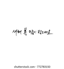 Handwritten calligraphy / New Year's Day greeting / Happy New Year - vector