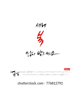 Handwritten calligraphy / New Year's Day greeting / Happy New Year - vector