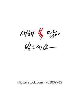 Handwritten calligraphy / New Year's Day greeting / Happy New Year - vector