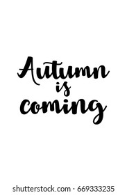 Handwritten calligraphy quote and autumn motives. Autumn is coming.