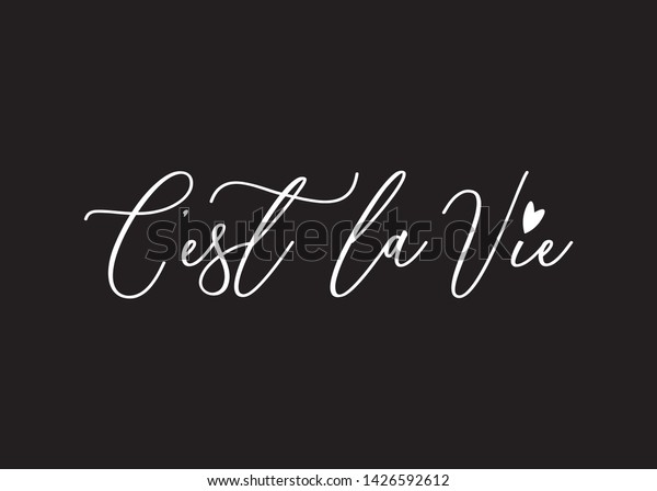 Handwritten Cest La Vie Life French Stock Vector Royalty Free 1426592612