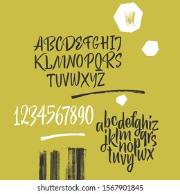 Handwritten font. Script. Latin calligraphic set with numbers and punctuation