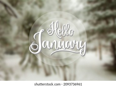 Handwritten, hello January, lettering message. January welcome quote with color leaves background. Modern lettering. Design for cards, banners, posters.