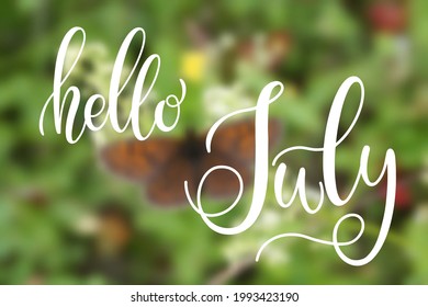Escrito a mano, hola july, mensaje con letras. Cita de bienvenida de julio con hojas. Letras modernas. Diseño de julio para tarjetas, carteles, afiches. Fondo borroso, mariposa.