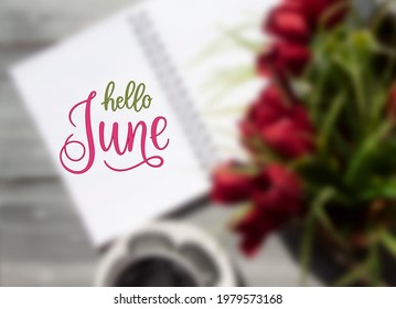 Escrito a mano, hola june, mensaje con letras. Cita de bienvenida de junio con hojas. Letras modernas. Diseño de junio para tarjetas, carteles, afiches. Fondo borroso.