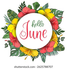 Handwritten, hello june, lettering message. June welcome quote with flower. Modern lettering. June design for cards, banners, posters. 