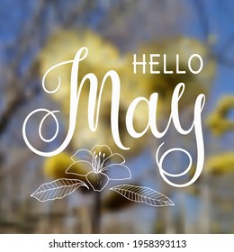 Handwritten, hello may, lettering message. May welcome quote with leaves . Modern lettering. May design for cards, banners, posters. Blurred background.
