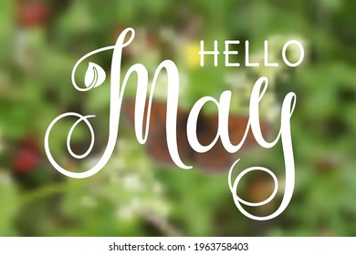 Handwritten, hello may, lettering message. May welcome quote with leaves . Modern lettering. May design for cards, banners, posters. Blurred background.