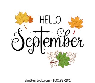 Handwritten Hello September Lettering Message Autumn Stock Vector ...