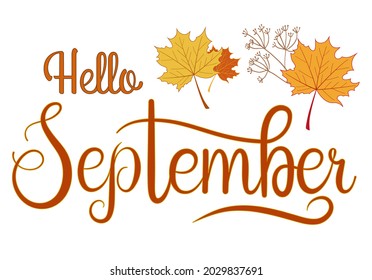 Handwritten, hello september, lettering message. Autumn welcome quote with color leaves background. Modern lettering. Hello September design for cards, banners, posters.