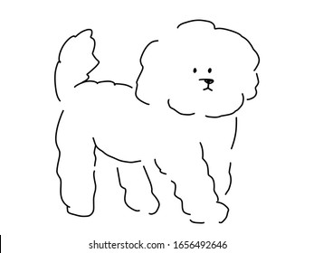 It is a handwritten illustration of a toy poodle written with a pen.