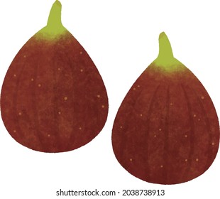 Handwritten illustrations of cute fruit figs