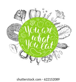 Handwritten ink inscription You are what you eat. Vector brush lettering. Modern calligraphy. Healthy vegetarian food. Card with hand drawn vegetables in style engraving.