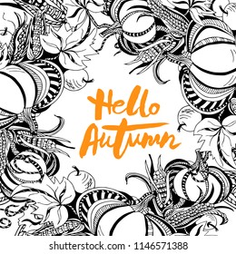 Handwritten lettering Hello Autumn with  pumpkins isolated on white background. Lettering for Autumn Season card, shop, logo, badge, postcard, poster, banner, web. Vector illustration.