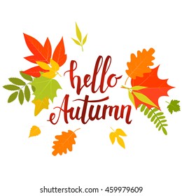 Handwritten lettering, Hello autumn with yellow leaves. Vector stock illustration.