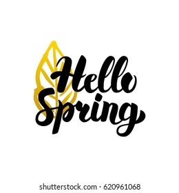 Handwritten Lettering Hello Spring. Vector Illustration of Calligraphy and Nature Plants Design Element.