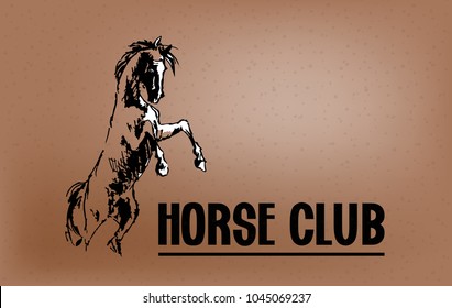 Handwritten lettering Horse Club. Vector illustration with jumping horse and text on brown background for postcard, card, invitation, poster, banner template lettering typography