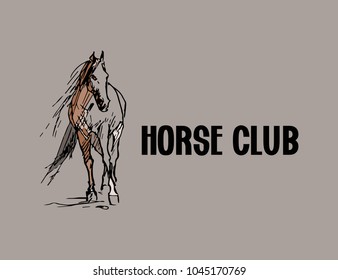 Handwritten lettering Horse Club Vector illustration with walking horse and text on grey background for postcard, card, invitation, poster, banner template lettering typography
