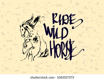 Handwritten lettering Riding Wild Horse Vector illustration with jumping horse and text for postcard, card, invitation, poster, banner template lettering typography