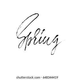 Handwritten lettering. Spring. Hand drawn calligraphy letters. Vector illustration. Typography poster.