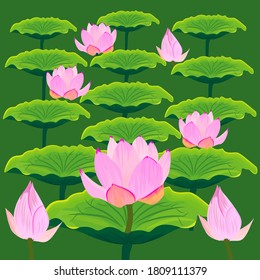 Handwritten lotus flower vector on white background. Vector illustration