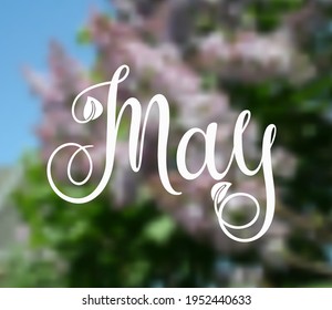 Handwritten, may, lettering message. May welcome quote with leaves . Modern lettering. May design for cards, banners, posters. Blurred background.