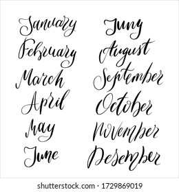 handwritten month names for calendar, plan. Vector modern calligraphy.