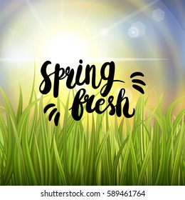 Handwritten phrase on spring or summer bokeh background. Sunburst with sun flare and fresh green grass. Colorful sunset or sunrise. Vector Illustration. 