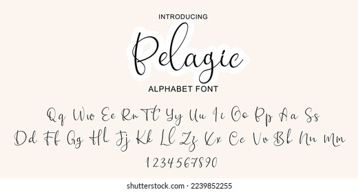 Handwritten Script font alphabet. Minimal modern urban fonts for logo, brand etc. Typography typeface uppercase lowercase and number. Vector illustration.Abstract. Fashion font alphabet
