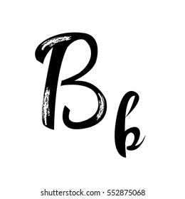 Handwritten Script font.  Letter B alphabet calligraphy. Handwritten calligraphy samples  Letter B vector
