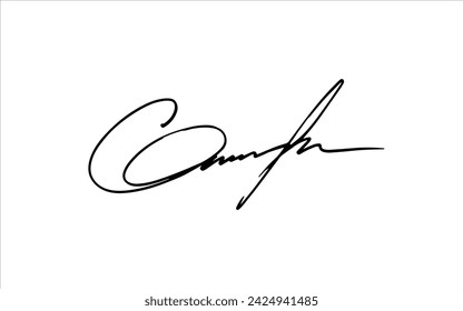 Handwritten signature : Handwritten signature, autograph for documents. Isolated vector illustration