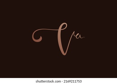 Handwritten Va letter logo. Simple signature vector