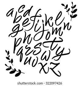 Handwritten vector alphabet. Brush hand painted set of letters isolated on white background. 
