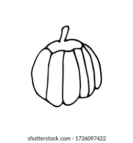 handwritten vector of a big pumpkin on a white background .pumpkin black and white