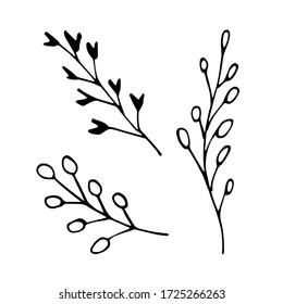 handwritten vector set of simple twigs on a white background.  set of simple twigs .set of simple twigs 