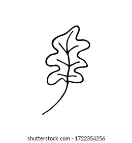 handwritten vector simple single leaf of oak tree on a white background. black and white oak leaf