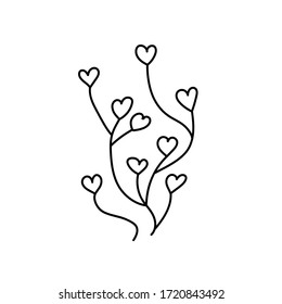 handwritten vector stylized grass with hearts on a white background. hand drawn herbal elements with heart leaves