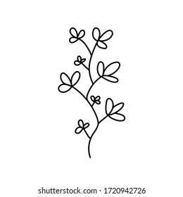 rampa vectorial manuscrita con hojas en cada fondo blanco de rama