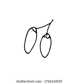 vector manuscrito de dos bayas oblongas sobre fondo blanco 