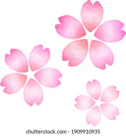 Handwritten watercolor cherry blossom petals