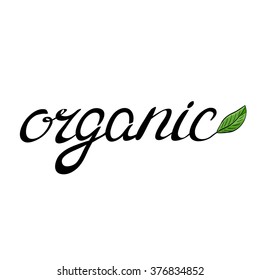 Handwritten word organic decorated with a green leaf. Handwritten illustration, hand made brush lettering.