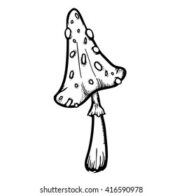 Handy drawn dangerous mushroom. Vector illustration with line art  toadstool mushroom on white background.