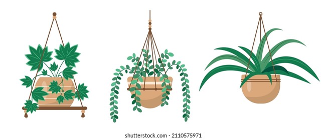 Hangers For Decorative House Plants Or Flowers In Pots. Hanging Macrame Pots For Indoor Home Or Office Garden. Flat Or Cartoon Icons Vector Illustration For Interior Decor And Botanical Design.