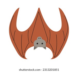 Hanging Bat Bird Vector Illustration