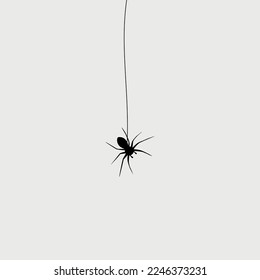 Hanging black spider on a web in the corner
